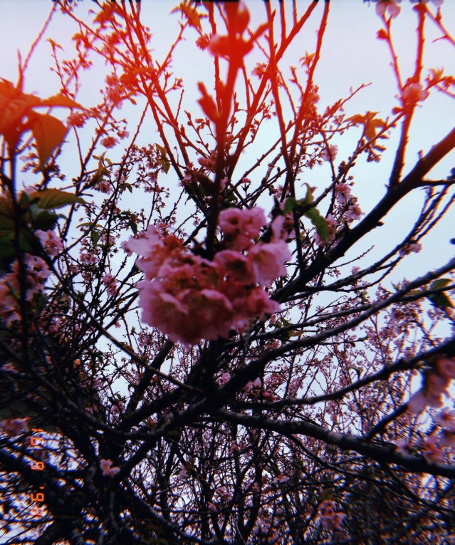 2018-09-16 16_49_32.261 (2)