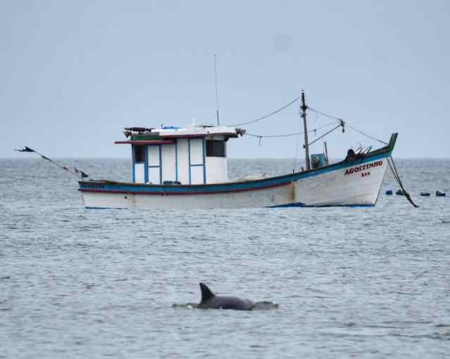 whatsapp image 2019-01-05 at 11.33.29