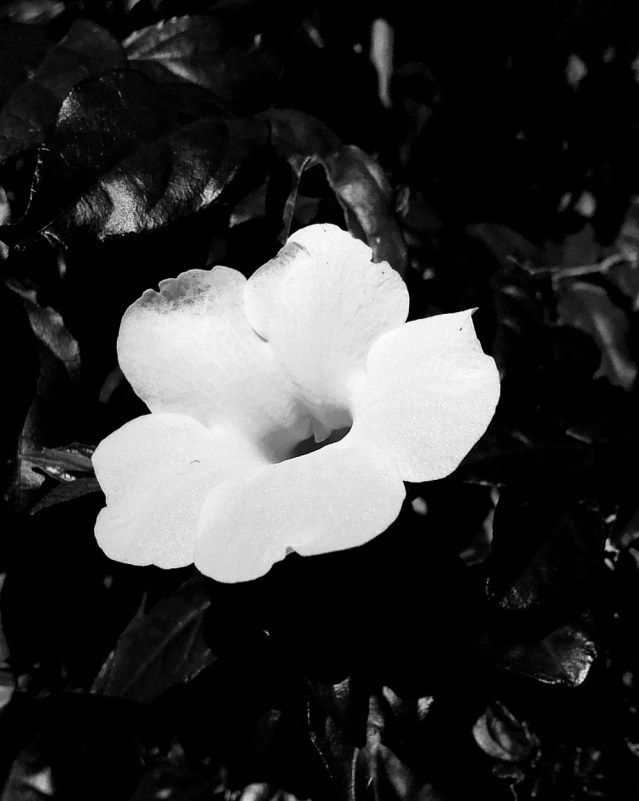 284B6F3E-3C98-4B33-B09C-556BEC25C5C5