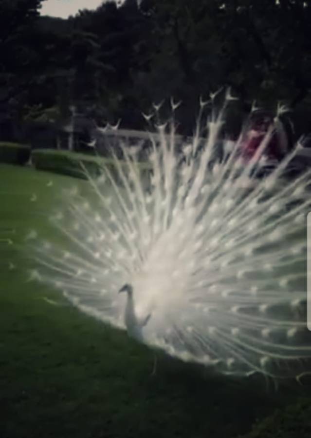 4f6517d2-f2c9-48fa-b22c-927da09f383e